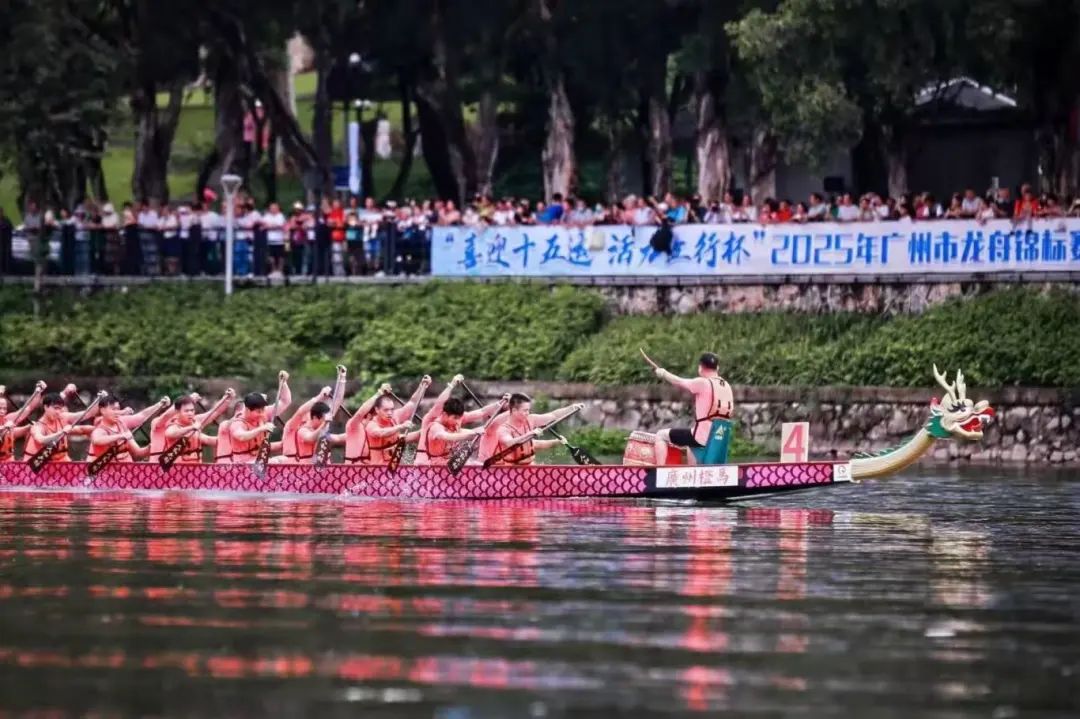 6e47642ee2e08ce7c25e450c8aaa199.jpg